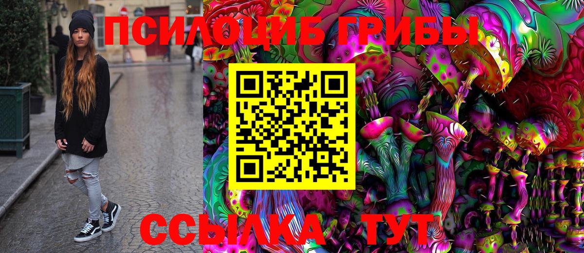 Псилоцибиновые грибы мицелий Татарск