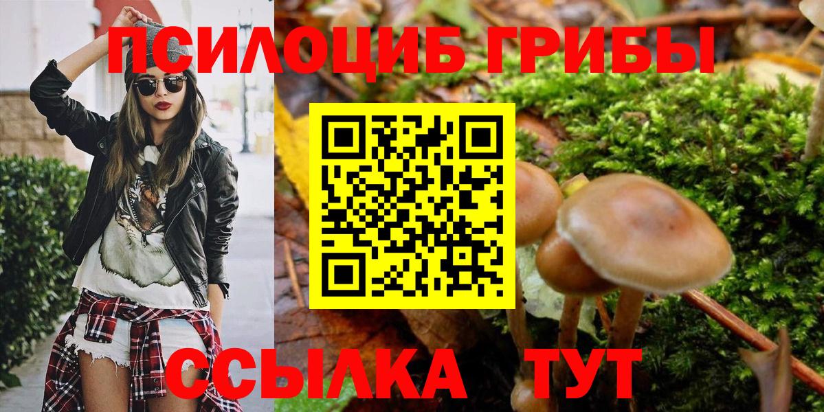 продажа наркотиков  Псилоцибиновые грибы мухоморы  Вход с VPN  Псилоцибиновые грибы Psilocybe  Татарск 
